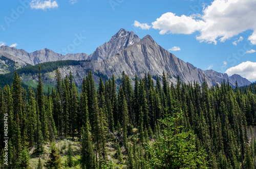 Mount Ishbel in Banff National Park photo