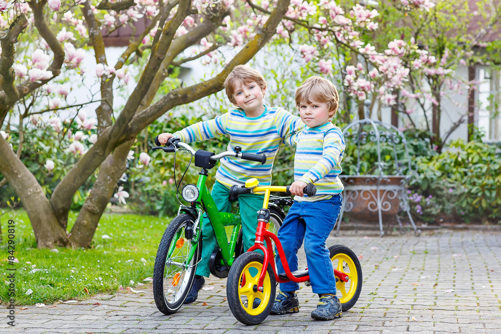 Two little kid boys biking with bicycles in park