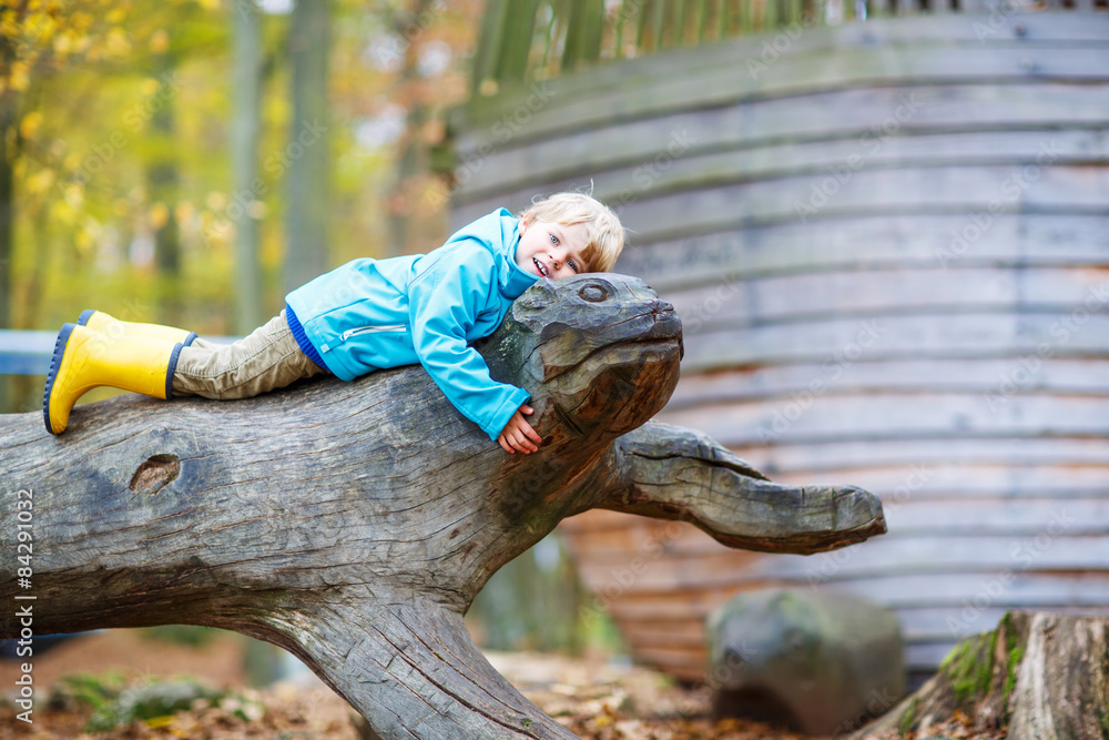 Little kid boy having fun on autumn playground Little kid boy having fun on autumn playground