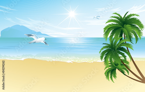Summer beach with palm trees 