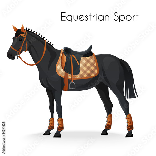 Horse with equestrian sport equipment 