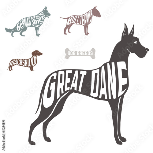 Concept silhouette of  with text inside isolated black on white