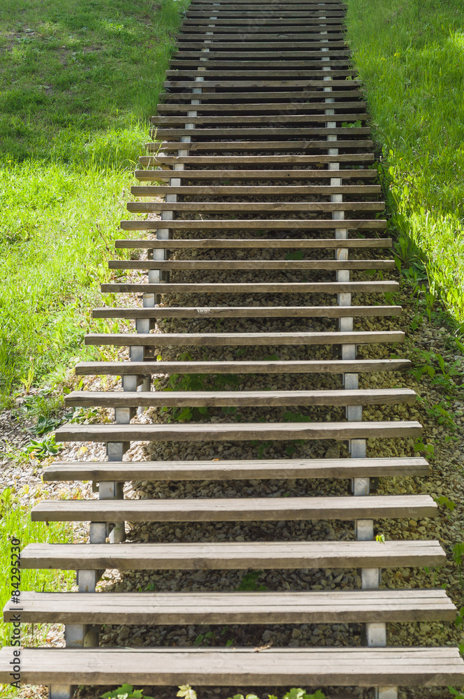 Wooden plank vanishing ladder in summer park