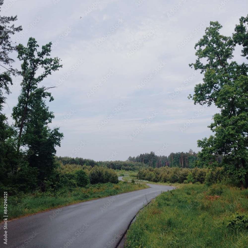 Obraz premium country side road after rain in the morning