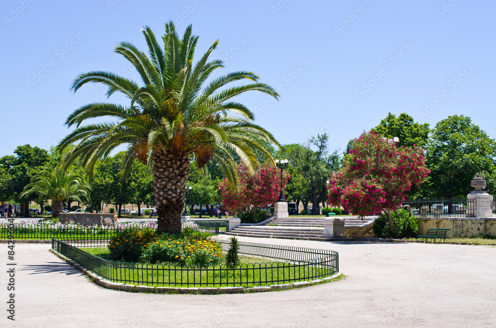 Suare in with palm, Greece