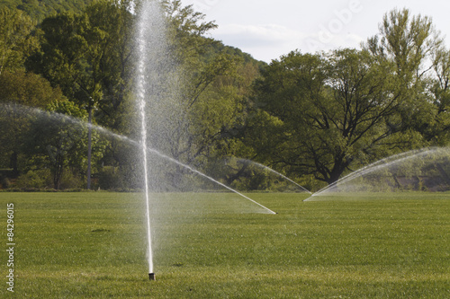 watering the lawn