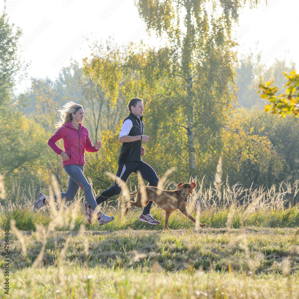 Obraz premium Laufen mit dem vierbeiningen Freund