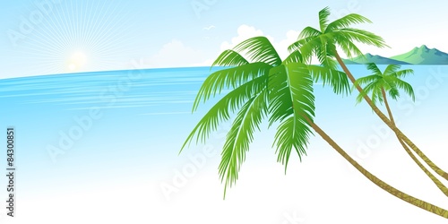 Summer holidays vector background with palm leaves and sea