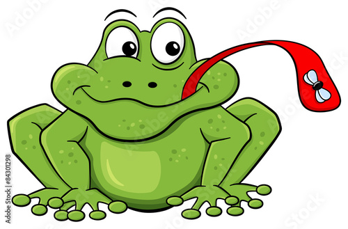 Frosch fängt eine Fliege mit der Zunge 