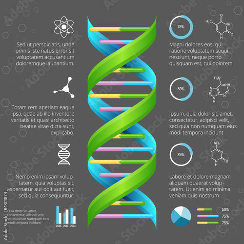 Infographic template with DNA structure for medical and