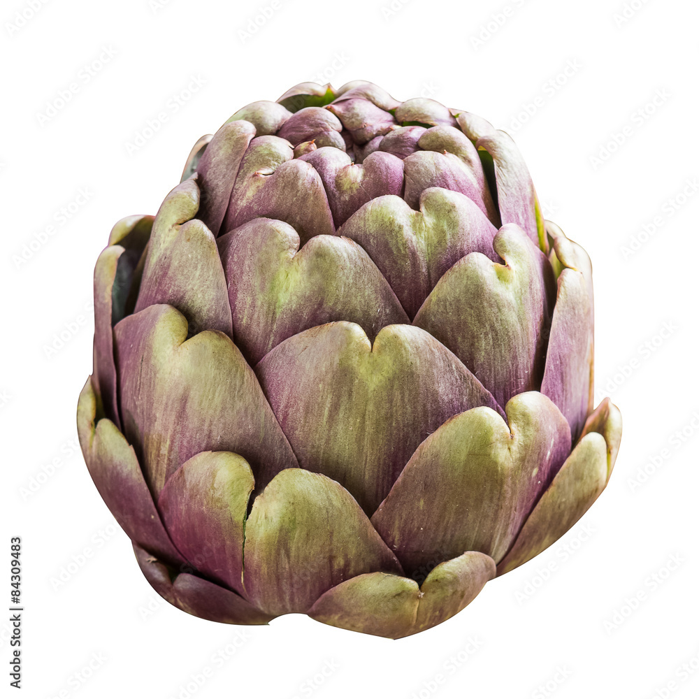 Obraz premium One large purple fresh artichoke isolated on white