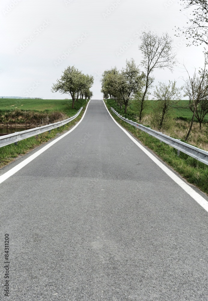 View of the deep straight country road with trees. View of the deep straight country road with trees.