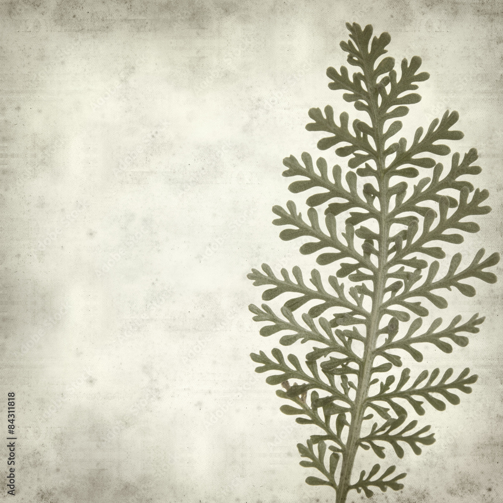 textured old paper background textured old paper background