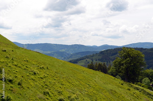 Blick auf den Schwarzwald von Todtnau