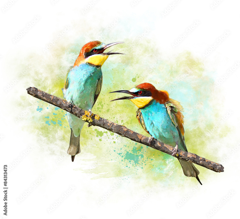 Obraz premium Watercolor Image of birds Bee-eaters