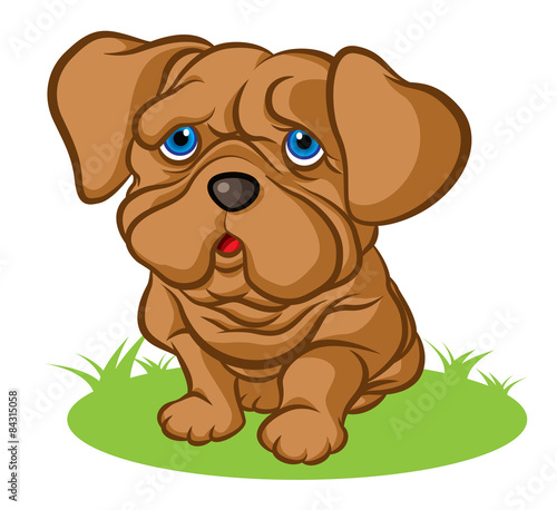 Sad puppy