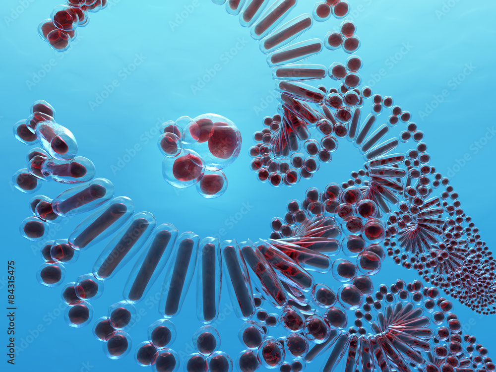 Micro Dna Function DNA image . size of the cells of the micro. Stock Illustration | Adobe ...