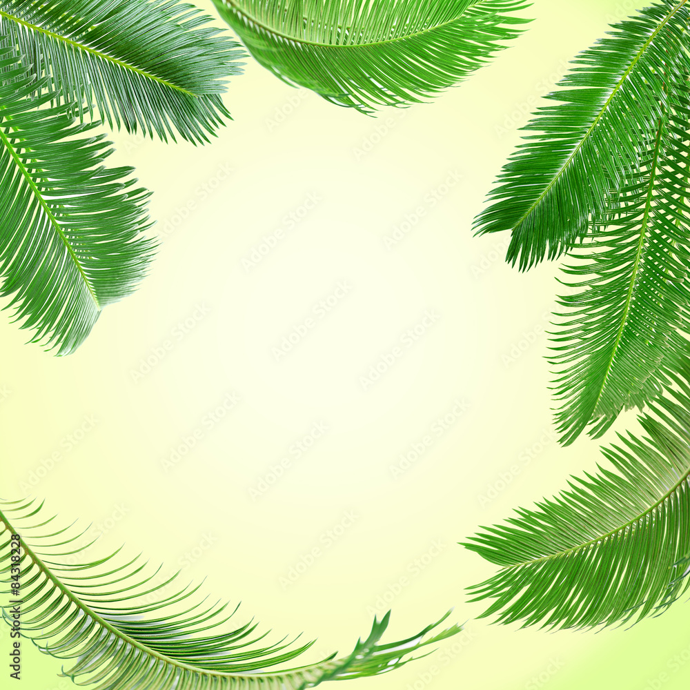 Frame of green palm leaves on light background