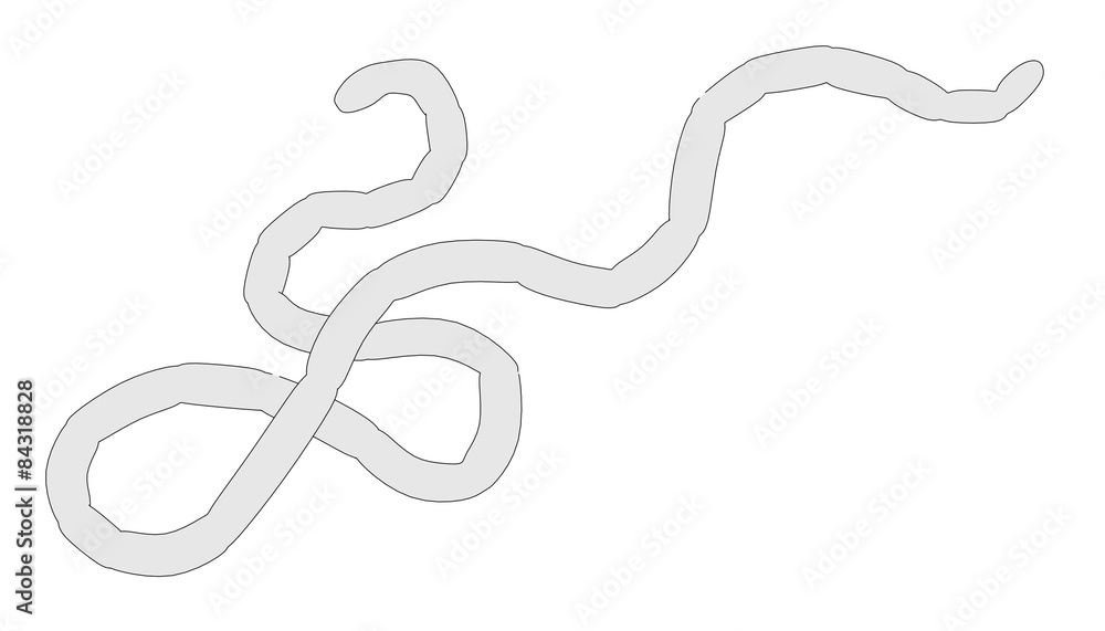 Obraz premium 2d illustration of Ebola Virus