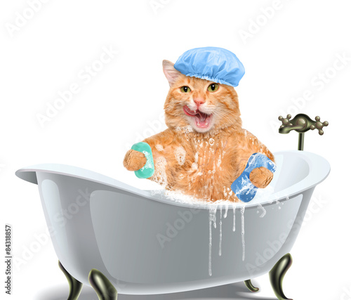 Fototapeta Naklejka Na Ścianę i Meble -  Cat washes in the bathtub. Isolated on the white. 