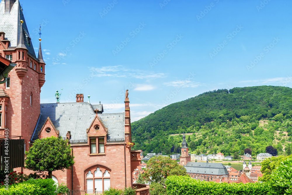 Top view of the Heidelberg