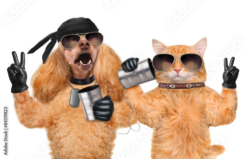 Fototapeta Naklejka Na Ścianę i Meble -  Cat with a dog on the phone with a can.