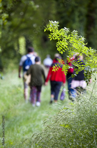 Groupes de personnes en randonnée en montagne