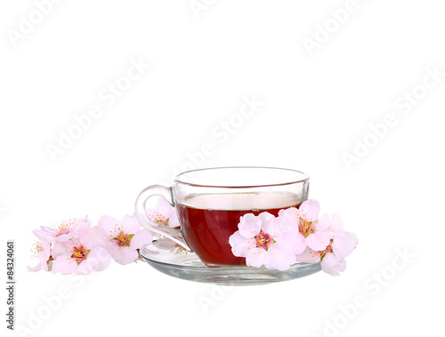 Cup of tea with a sprig of cherry blossoms isolated on white background.