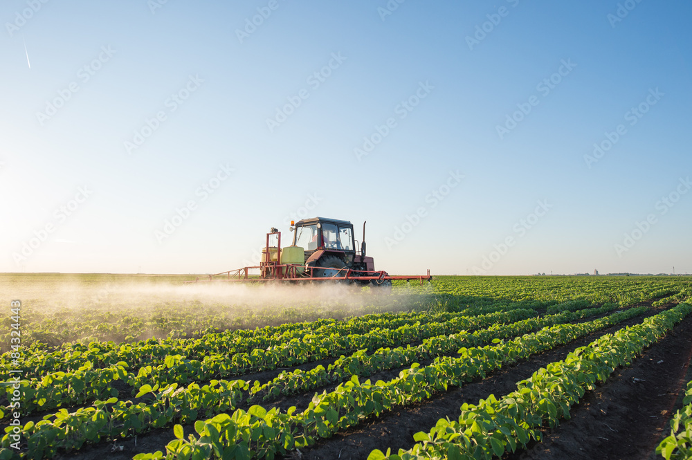Fototapeta premium Tractor spraying