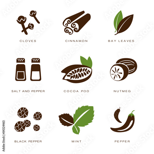 Spices, Condiments and Herbs Vector