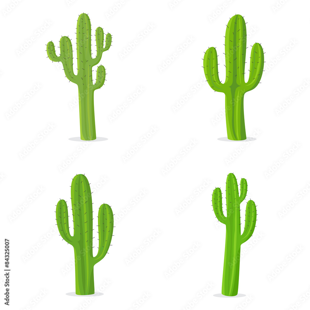 Naklejka premium Cactus