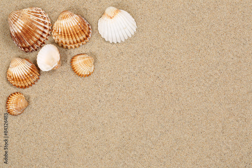 Strand Sand Szene im Urlaub Sommer mit Muscheln und Textfreiraum