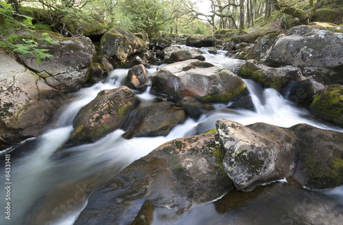 The River Plym. Its source is 450m above sea level on Dartmoor. photo