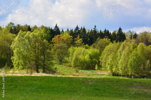 Fototapeta Naklejka Na Ścianę i Meble -  Spring landscape