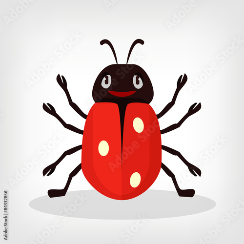 Vector ladybug flat illustration
