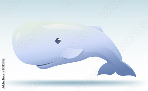 sperm whale