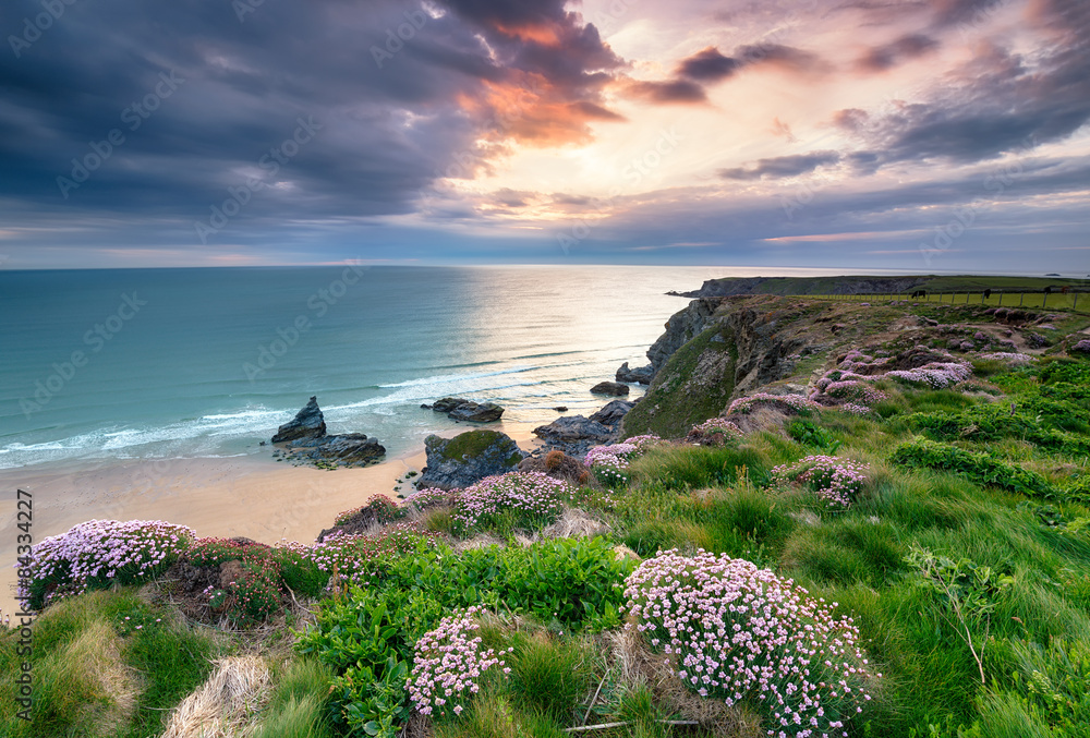 Setting Sun on the Cornwall Coast - obrazy, fototapety, plakaty 