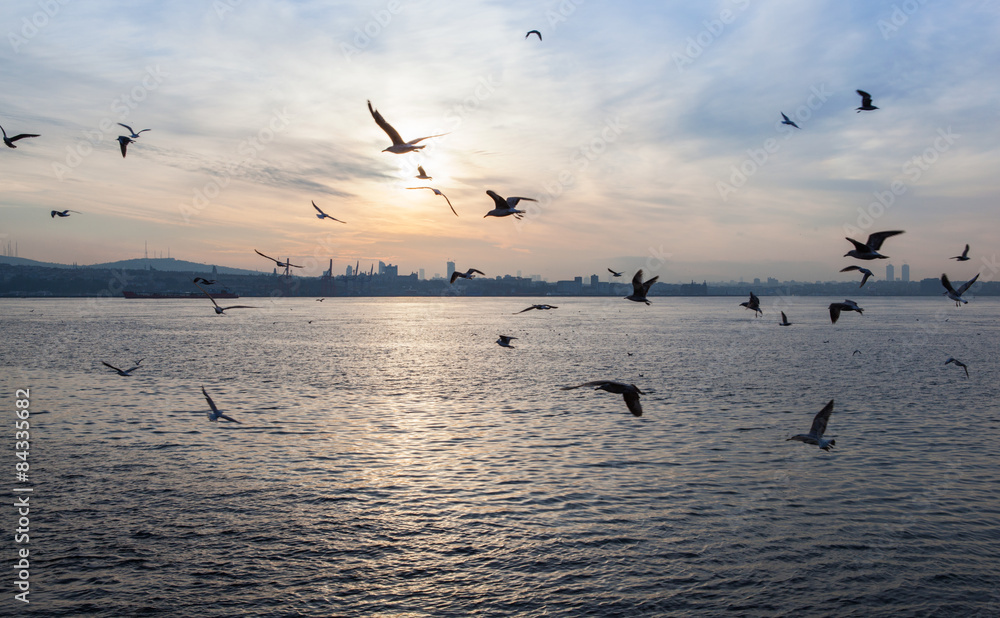sunset over the sea with seagulls , Istanbul