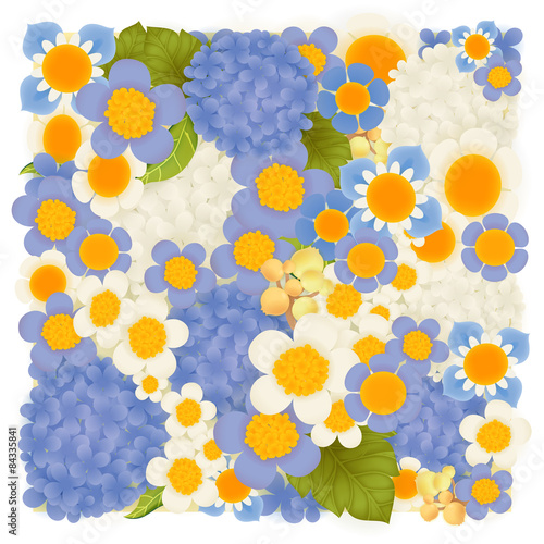 Fototapeta Naklejka Na Ścianę i Meble -  Hydrangea , hyacinth blue floral background - Vector file EPS10