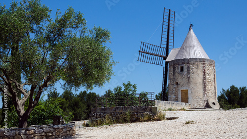Mill and olive tree in the south of France (Provence)