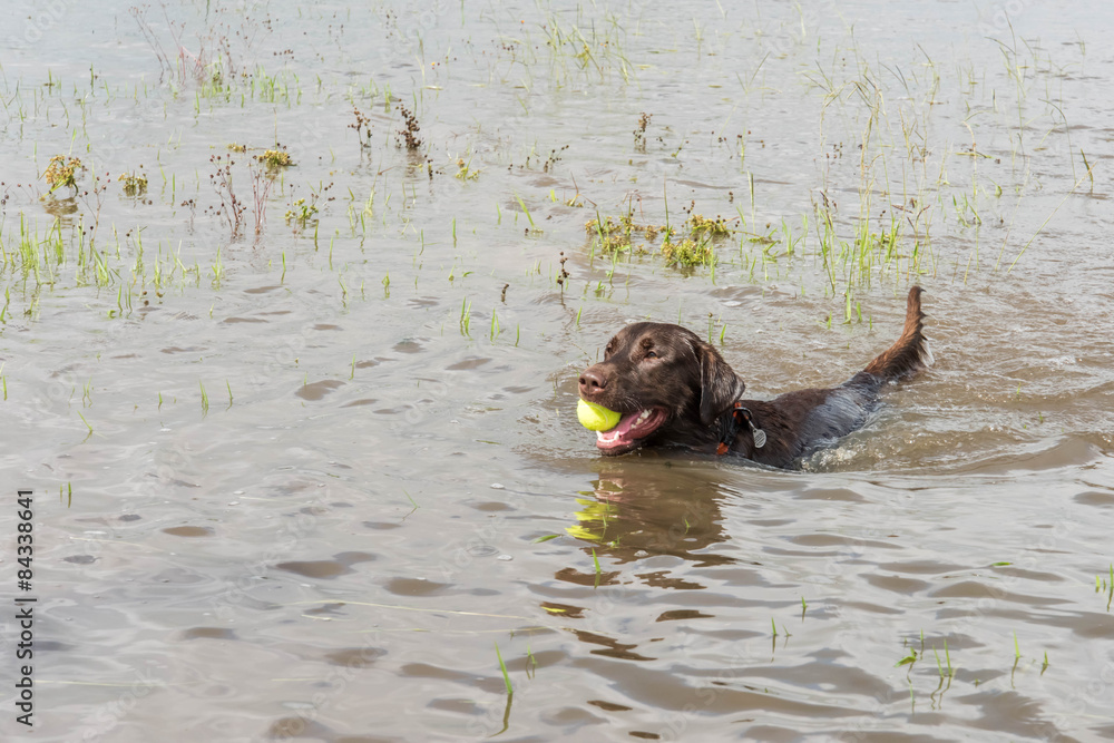 Fototapeta premium standing flood waters following heavy rains in Houston, Texas
