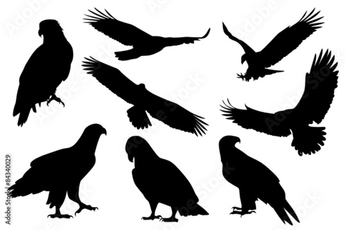 Adler Set