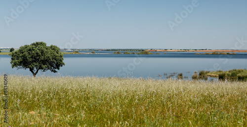 Portugal Alentejo Aljustrel