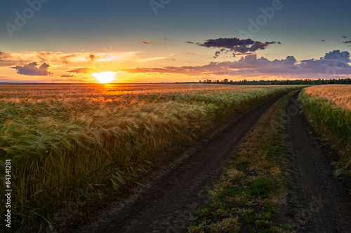 dirty road on wheat field at sunset