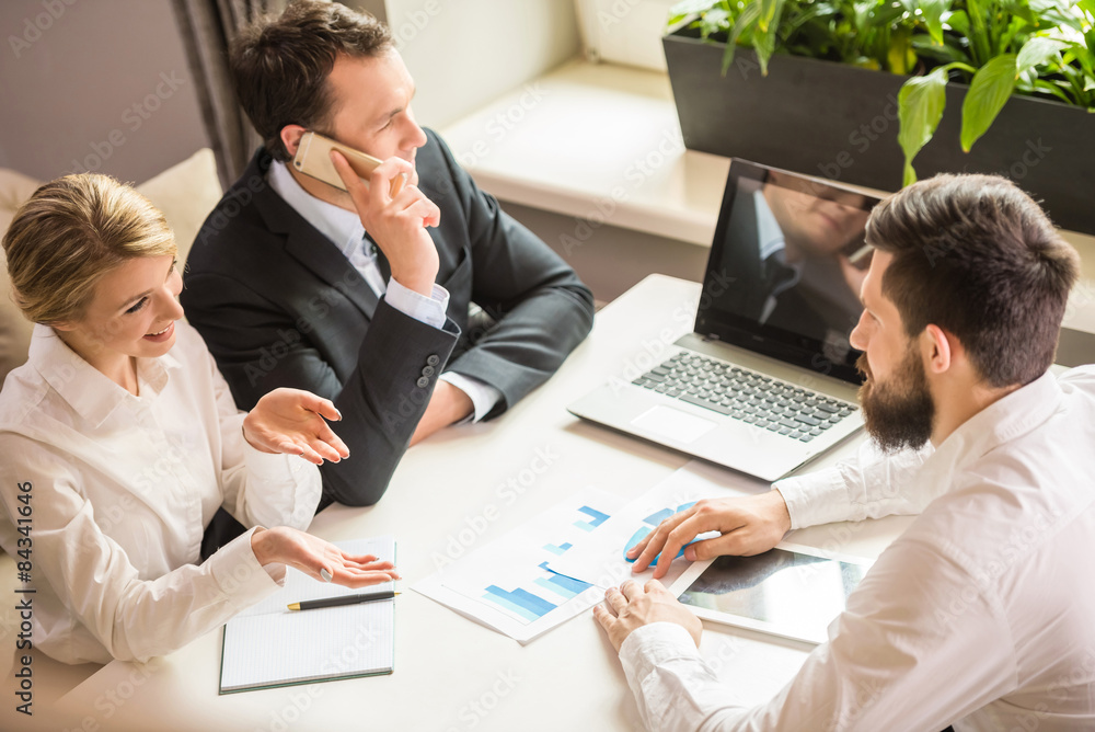 Fototapeta premium Business meeting