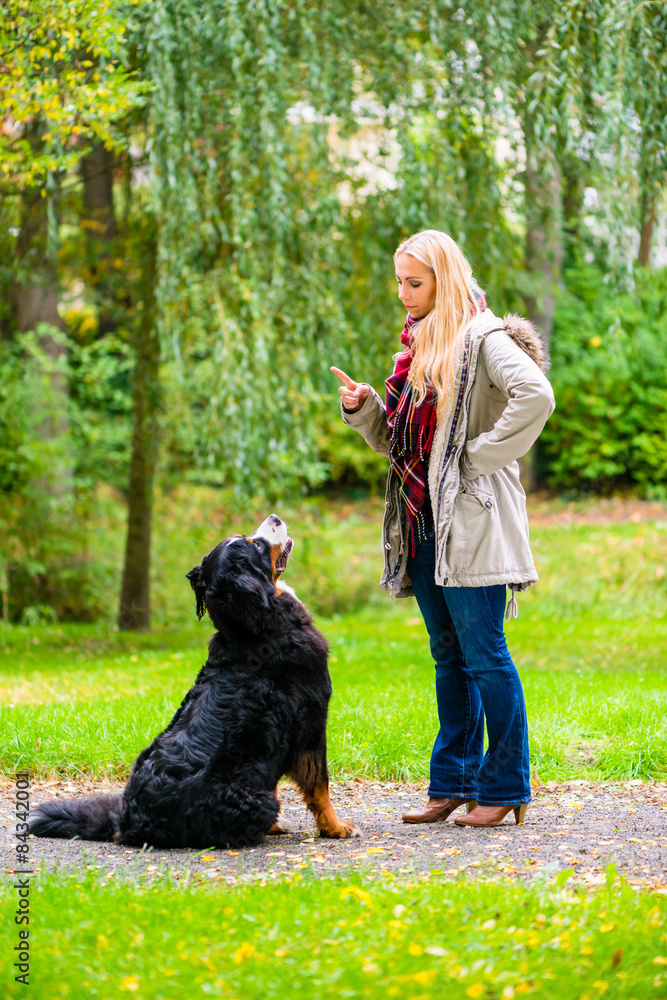 Frau bei Hundetraining mit Hund draußen im Park Frau bei Hundetraining mit Hund draußen im Park