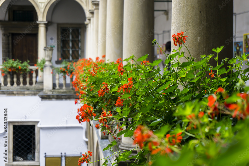 Italian courtyard with flowers