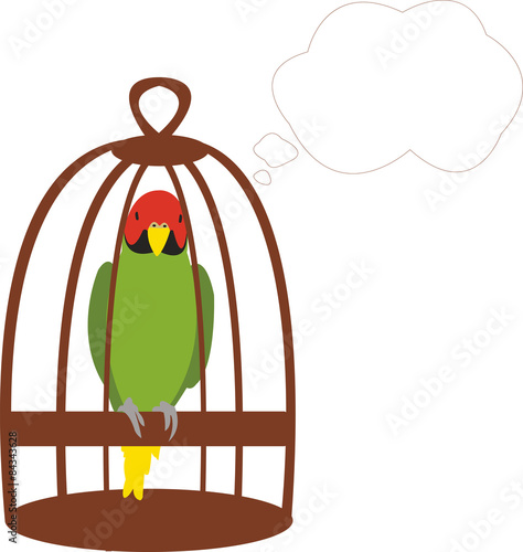 green parrot in a cage says