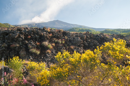 Etna landscapes