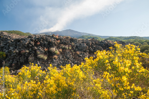 Etna landscapes